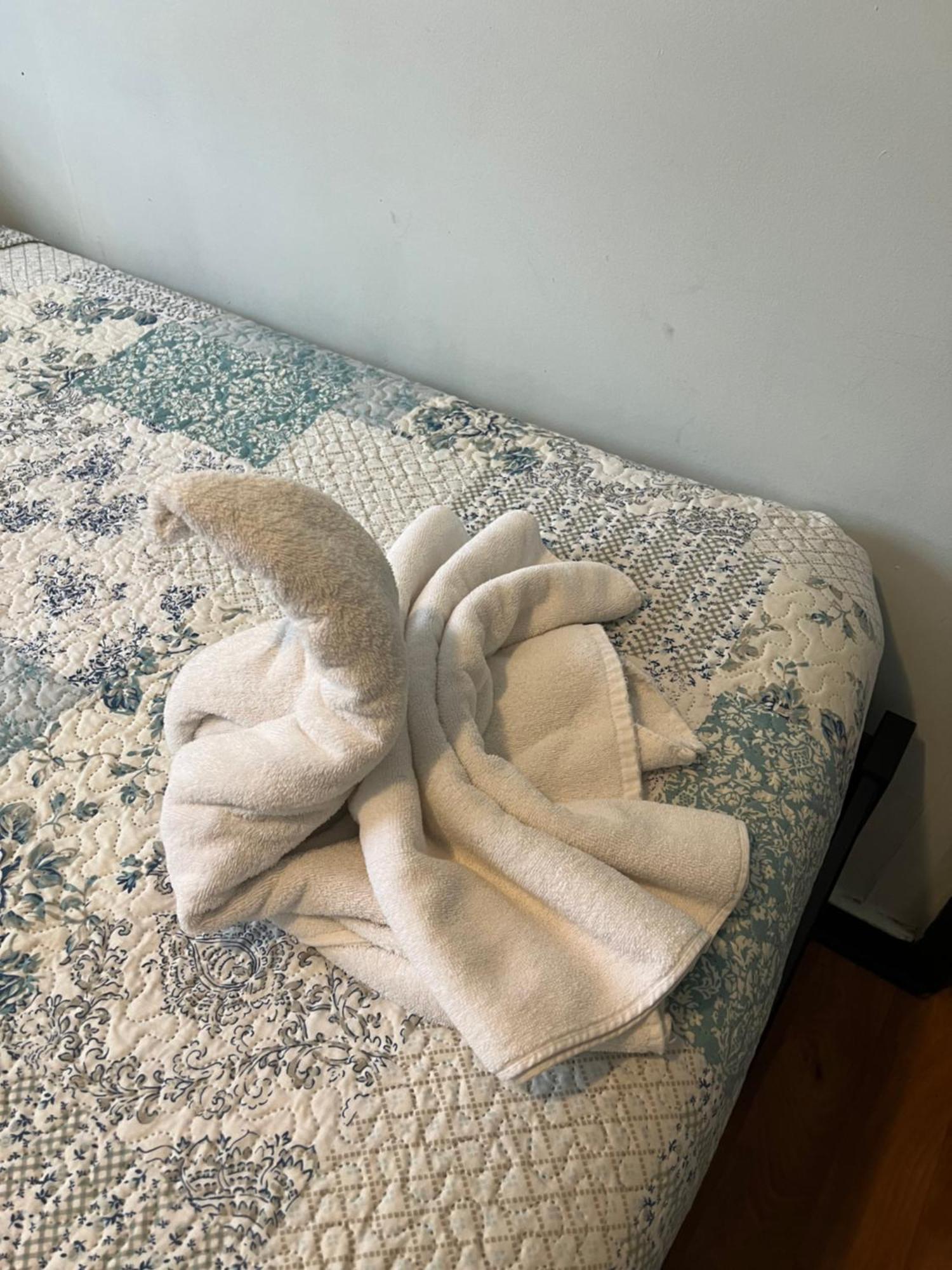 Hostal Victoria Punta Arenas Esterno foto